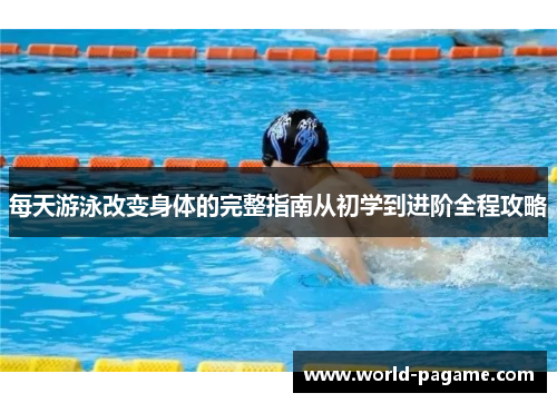 每天游泳改变身体的完整指南从初学到进阶全程攻略