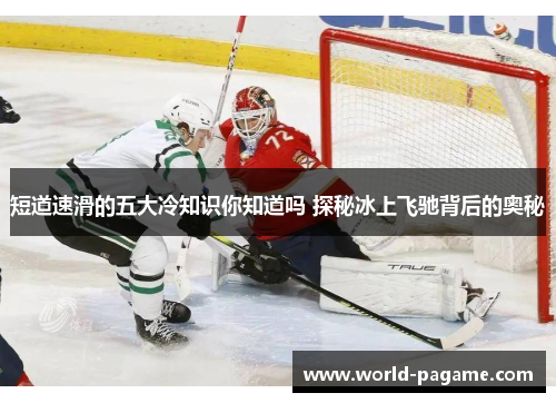 短道速滑的五大冷知识你知道吗 探秘冰上飞驰背后的奥秘