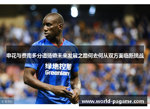 申花与费南多分道扬镳未来发展之路何去何从双方面临新挑战 申花与费南多分道扬镳未来发展之路何去何从双方面临新挑战