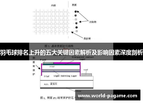 羽毛球排名上升的五大关键因素解析及影响因素深度剖析