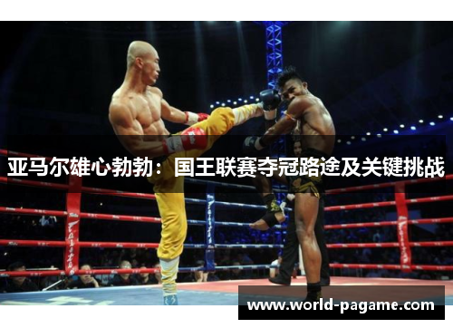 亚马尔雄心勃勃：国王联赛夺冠路途及关键挑战