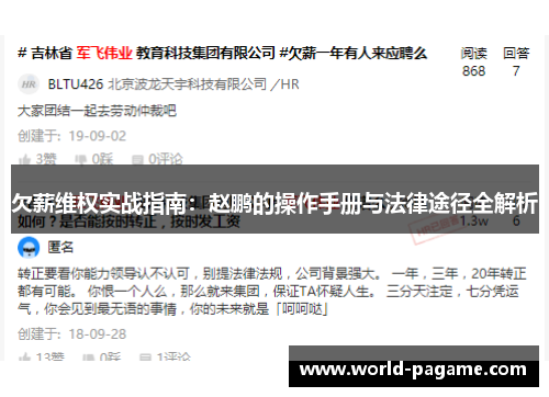 欠薪维权实战指南：赵鹏的操作手册与法律途径全解析