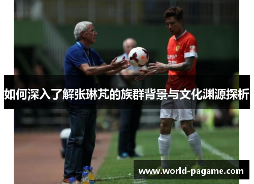 如何深入了解张琳芃的族群背景与文化渊源探析