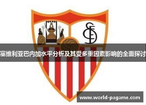 塞维利亚巴内加水平分析及其受多重因素影响的全面探讨