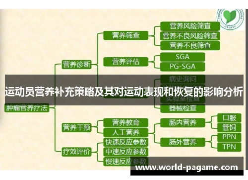 运动员营养补充策略及其对运动表现和恢复的影响分析 运动员营养补充策略及其对运动表现和恢复的影响分析