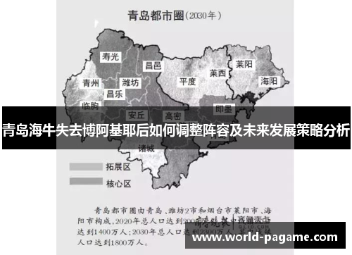 青岛海牛失去博阿基耶后如何调整阵容及未来发展策略分析 青岛海牛失去博阿基耶后如何调整阵容及未来发展策略分析