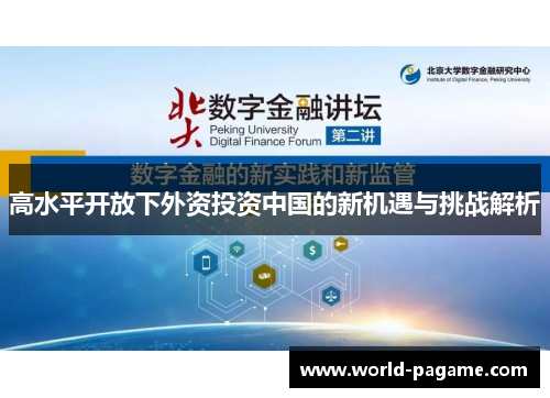 高水平开放下外资投资中国的新机遇与挑战解析