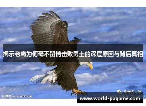 揭示老鹰为何毫不留情击败勇士的深层原因与背后真相